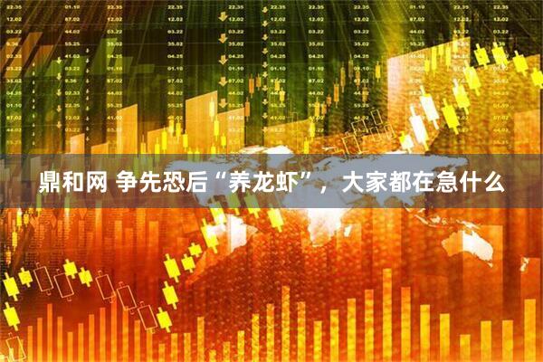 鼎和网 争先恐后“养龙虾”，大家都在急什么