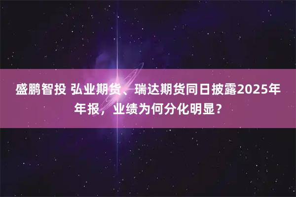 盛鹏智投 弘业期货、瑞达期货同日披露2025年年报，业绩为何分化明显？