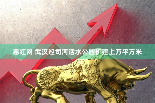 惠红网 武汉巡司河活水公园扩建上万平方米