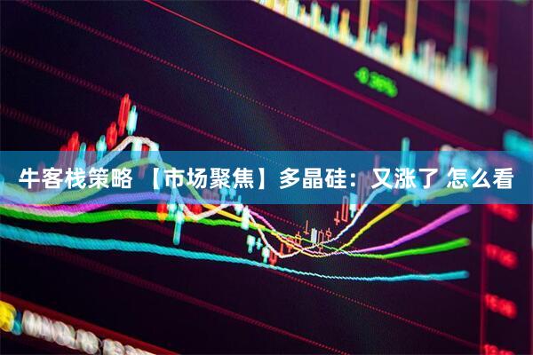 牛客栈策略 【市场聚焦】多晶硅：又涨了 怎么看