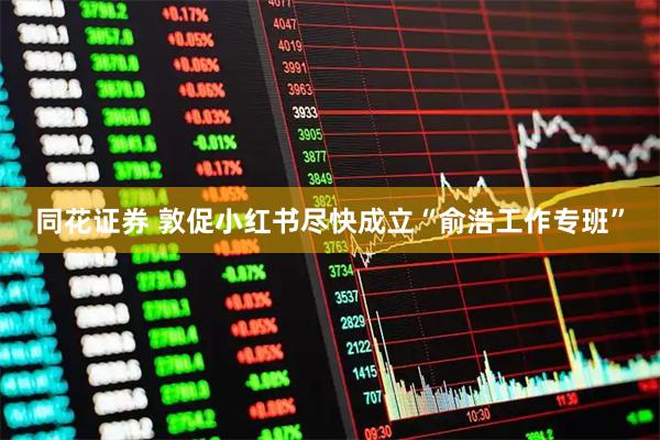 同花证券 敦促小红书尽快成立“俞浩工作专班”