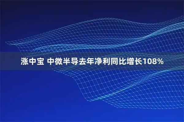 涨中宝 中微半导去年净利同比增长108%