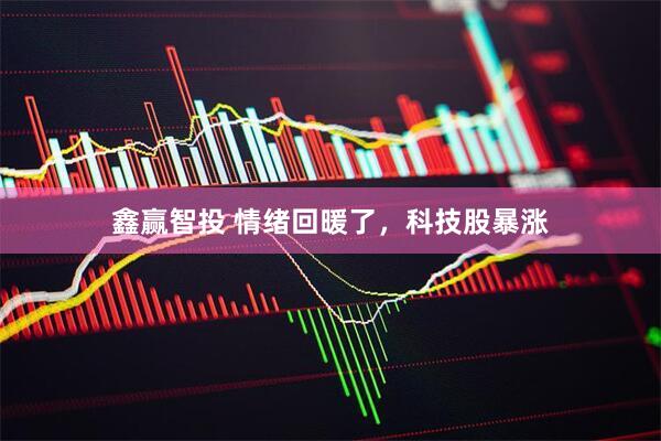 鑫赢智投 情绪回暖了，科技股暴涨